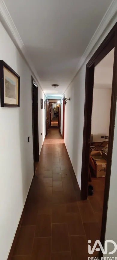 Écija, Écija