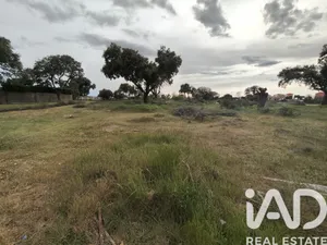 Terreno en Carrascal de Barregas