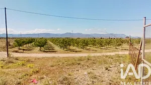 Terreno agricola en Ulldecona