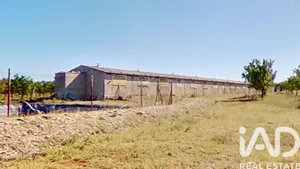 Terreno agricola en Ulldecona