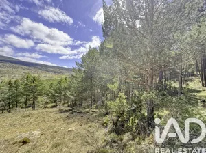 Terrain à Alcalá de la Selva