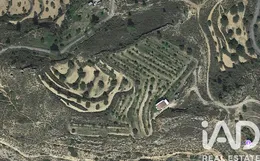 Terreny agrícola a RIBA-ROJA D'EBRE