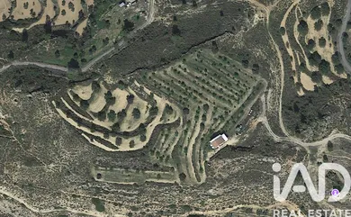 Terreny agrícola a RIBA-ROJA D'EBRE