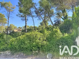 Terreny edificable a Olivella