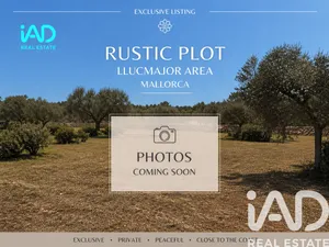 Terreno agricola en Lluchmayor