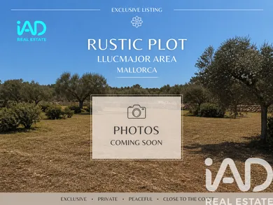 Terreno agricola en Lluchmayor