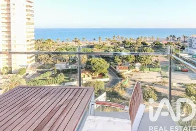 Alicante, Alicante