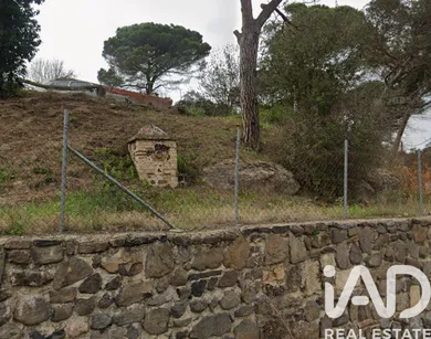 Maçanet de la Selva