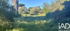 Terreno en Chiclana de la Frontera