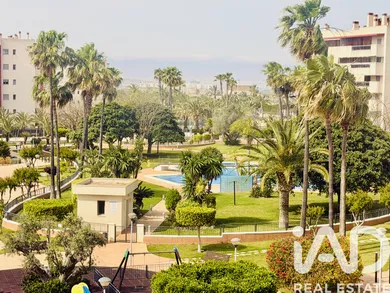 Arenales del Sol, Elche