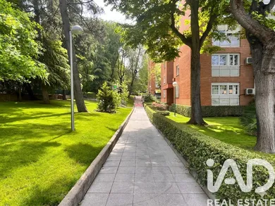 Apartment in Madrid