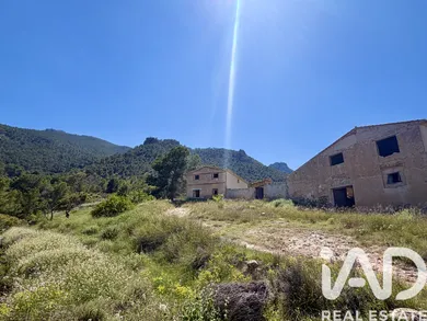 Terreny rústic a Cieza