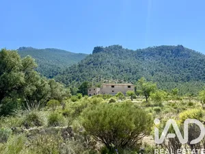Terreno rústico en Cieza