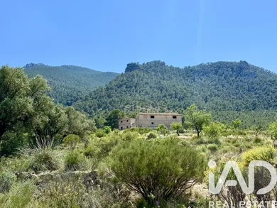 Terreny rústic a Cieza