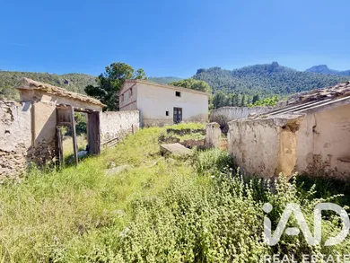 Terreny rústic a Cieza