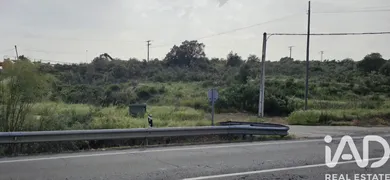 Terreno rústico en Montehermoso