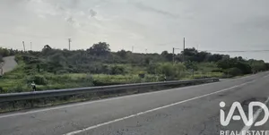 Terreno rústico en Montehermoso