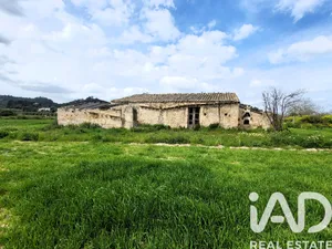 Terreno rústico en Sineu