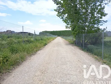 Terreny agrícola a Benalua