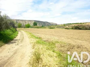 Terreno agricola en Benalua