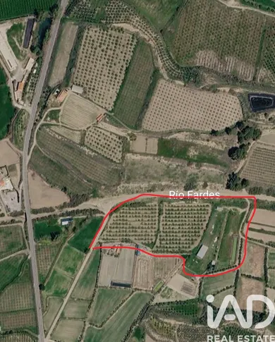 Terreny agrícola a Benalua