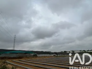 Terreno agricola en LEPE HUELVA