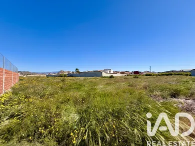 Building plot in Archena