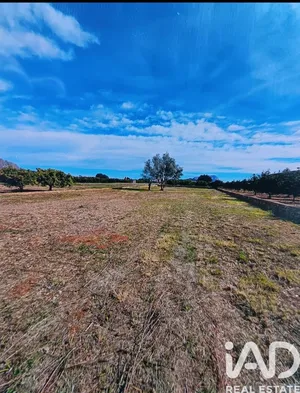 Terreno en Benidoleig