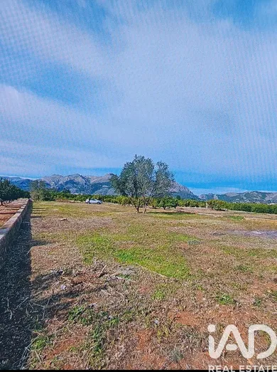 Terreno en Benidoleig