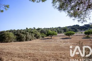 Terrain à bâtir à Palma