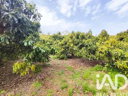 Terreno en Vélez-Málaga