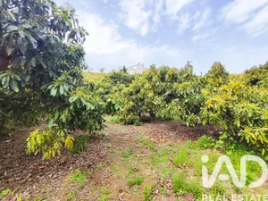 Terreno en Vélez-Málaga