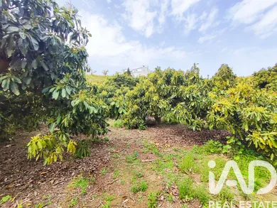 Terreno en Vélez-Málaga