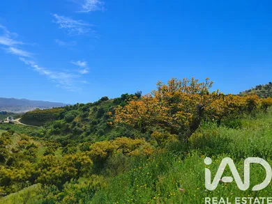 Terreno agricola en Vélez-Málaga