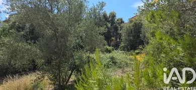 Terreno edificable en Campanet