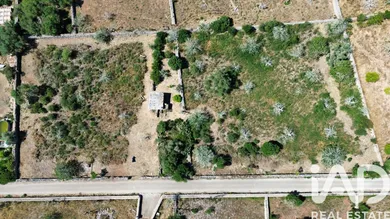 Leisure land in Santa Margalida