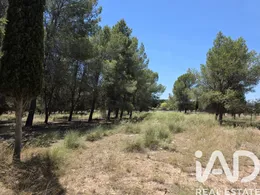 Terreno rústico en Calasparra