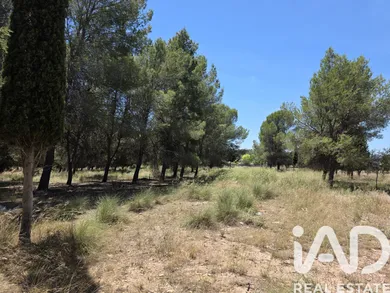Terreny rústic a Calasparra