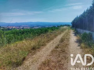 Terreno agricola en Roquetes