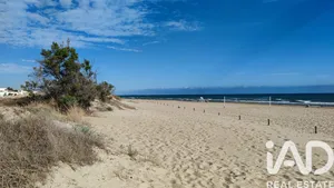 Chalet en Oliva
