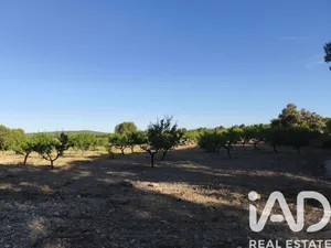 Terreno agricola en Moratalla
