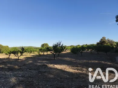 Farm land in Moratalla