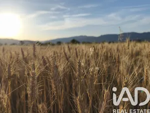 Terreno agricola en Moratalla