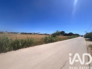 Terreno agricola en Vejer de la Frontera