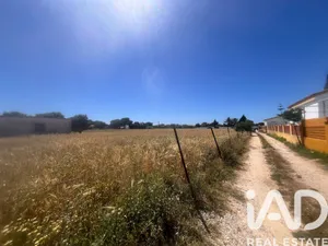 Terreny agrícola a Vejer de la Frontera
