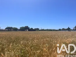 Terrain agricole à Vejer de la Frontera