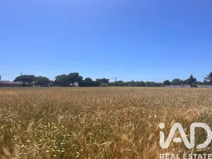 Terreno agricola en Vejer de la Frontera