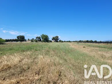 Terreny rústic a Santa María del Camí