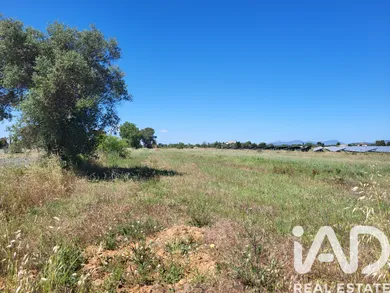 Terreny rústic a Santa María del Camí