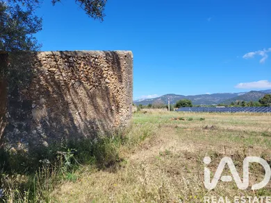 Leisure land in Santa María del Camí